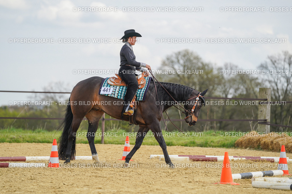 DSC05298 | Pferdegrafie