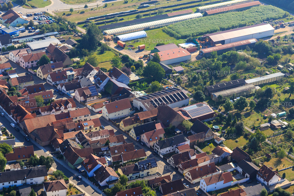 Luftbild: Landwirtschaftliche Hallen am Ettenbaum in Kandel im Bundesland Rheinland-Pfalz in Deutschland. Foto: IMG_094927.jpg vom 24.09.2016 durch Werner Riehm/FLY-FOTO.de