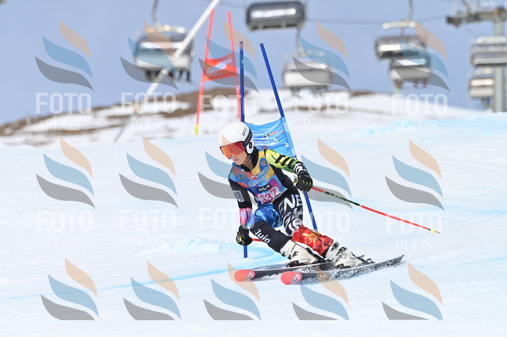 BGV_3401 | holidayphoto