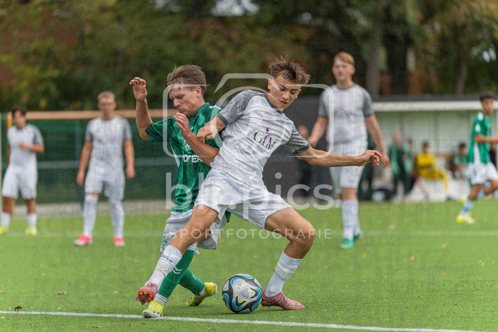 SV Werder Bremen - SV Grohn | SV Werder Bremen - SV Grohn