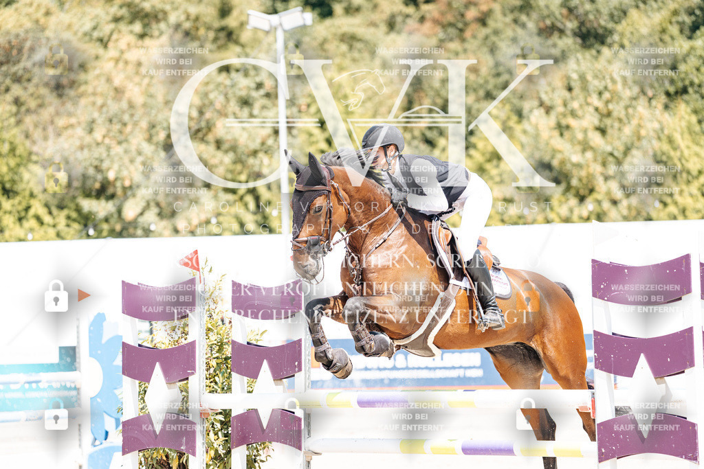 CK900456 | Turnierfotografie Pferdefotografie Trier Rheinland-Pfalz Pferdesport Reitsport Tierfotografie Sportfotografie Pferdevideo Pferdevideografie Equestrianvideography equestrianphotography  - Realisiert mit Pictrs.com
