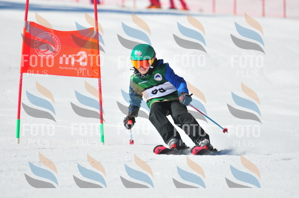 C2865 | holidayphoto