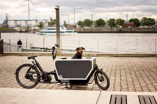 Hund im Lastenbike | Schnappschuss, schöne Streetfotografie