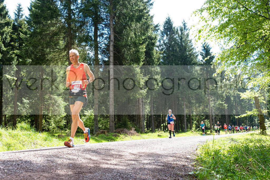 Rennsteiglauf 2019 | Marathon Neuhaus/Rwg. - Schmiedefeld am 18. Mai 2019
