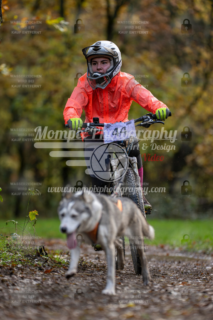 MompixPhotography_Bischwiller23_Bike-24 | PayLife