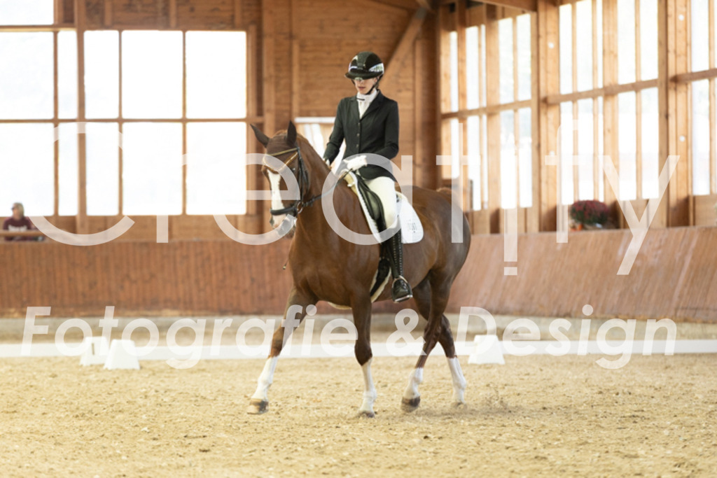 IMG_1386 | Creatify Fotografie