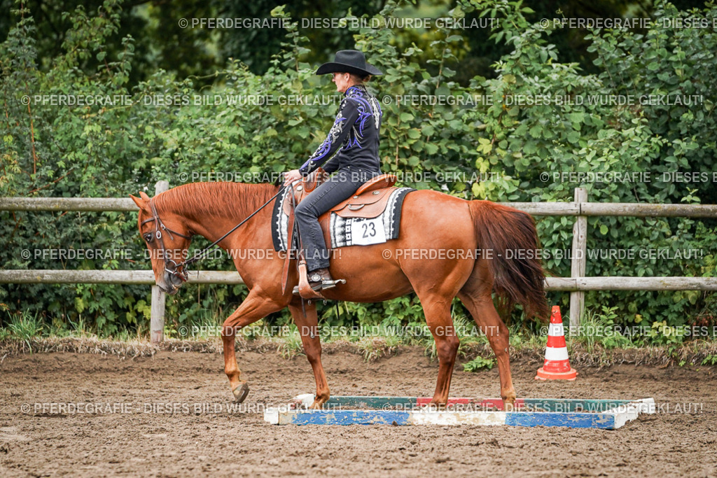 DSC03668 | Pferdegrafie