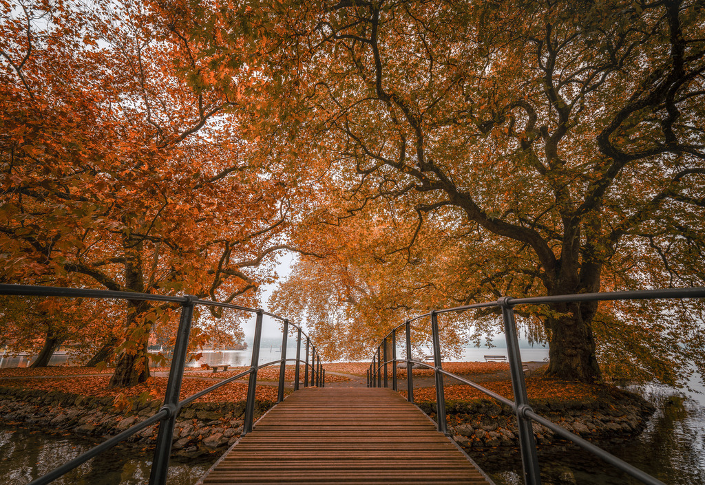 Vilette im Herbst | Brücke zum Vilette Inselchen - Realisiert mit Pictrs.com