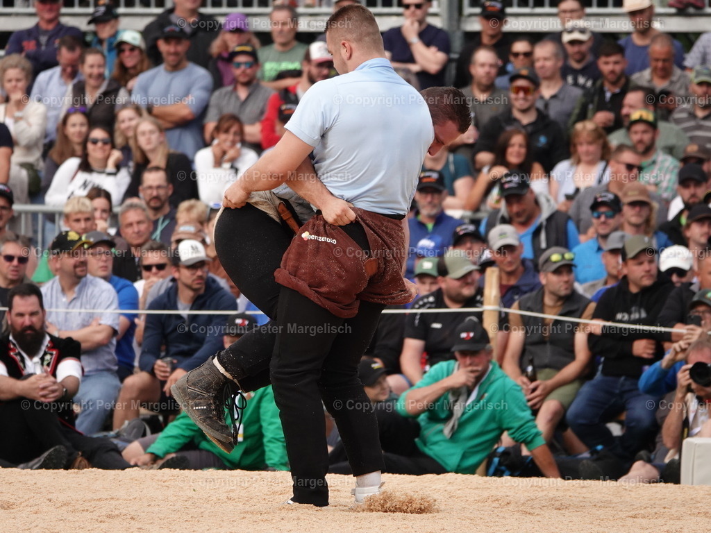 DSC08350 | Schwingen - Realized with Pictrs.com