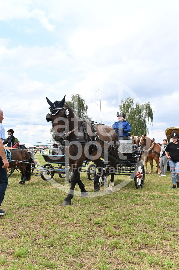 DSC_4593 | sattelsport - Realisiert mit Pictrs.com