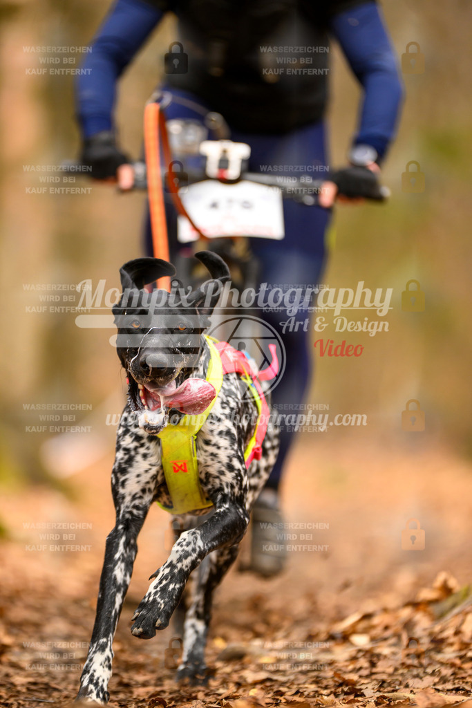 MompixPhotography_Habay2025_SA_Bike-123 | PayLife