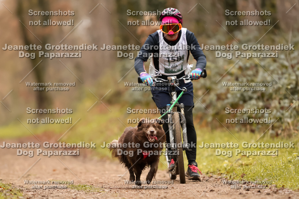 Dog Paparazzi - Speedhunter Mannheim  2025-434 | Dog Paparazzi Jeanette Grottendiek Fotografie & Videografie