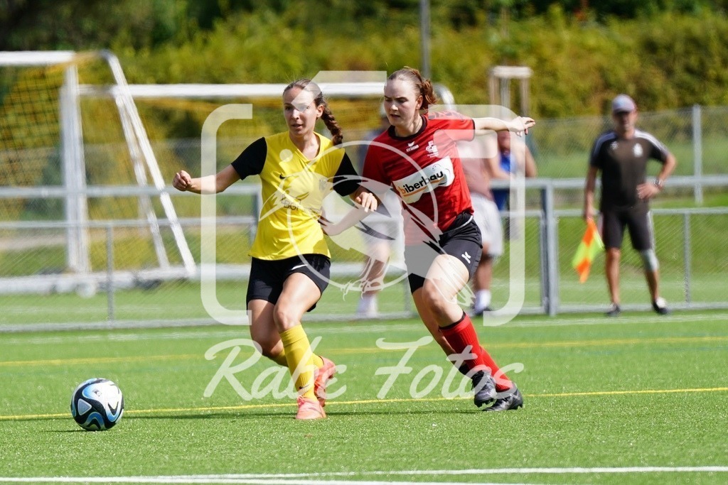 SON08385 | rabefotos