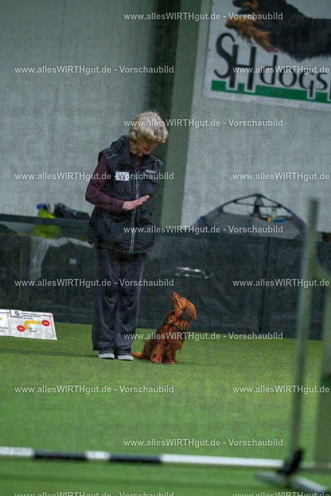 7R503644 | Professionelle Tierfotografie in Mönchengladbach von Daniel Wirth (allesWIRTHgut). Liebevolle & natürliche Bilder von Hunden & Katzen für unvergessliche Erinnerungen.