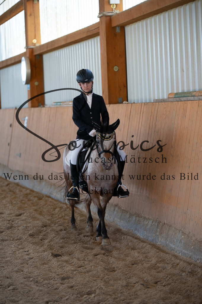 A7V01682 | Turnier/Reitfotograf