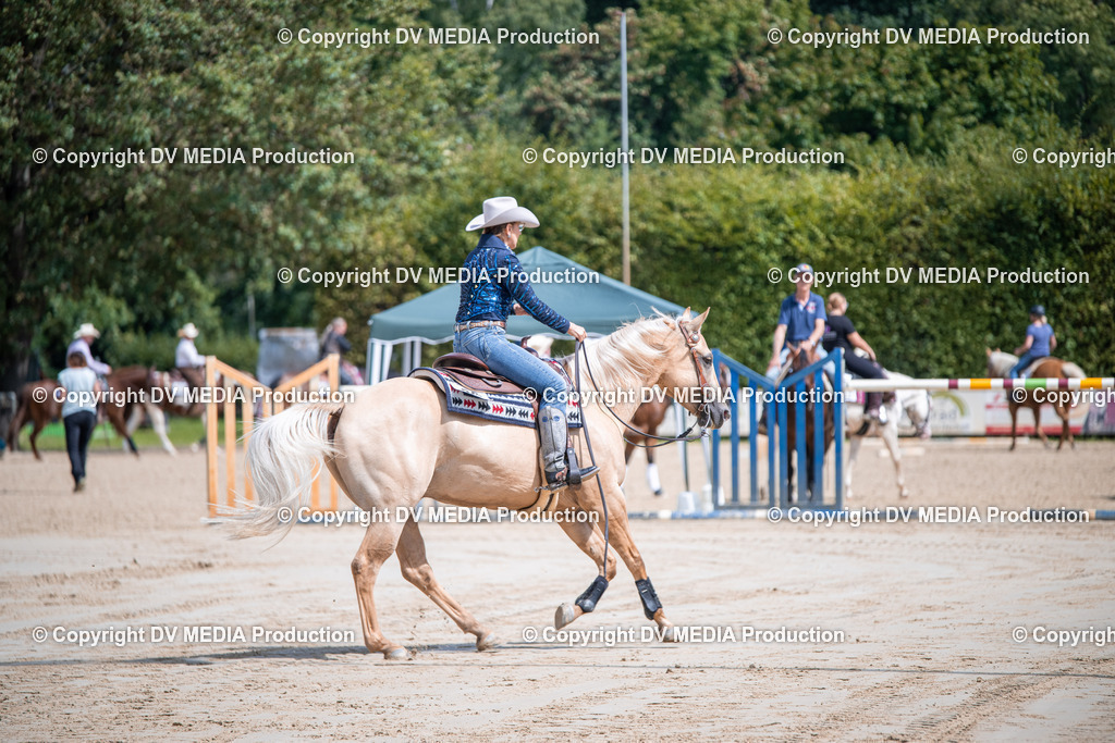 ZS3_5228 | dv-media-shop - Realisiert mit Pictrs.com