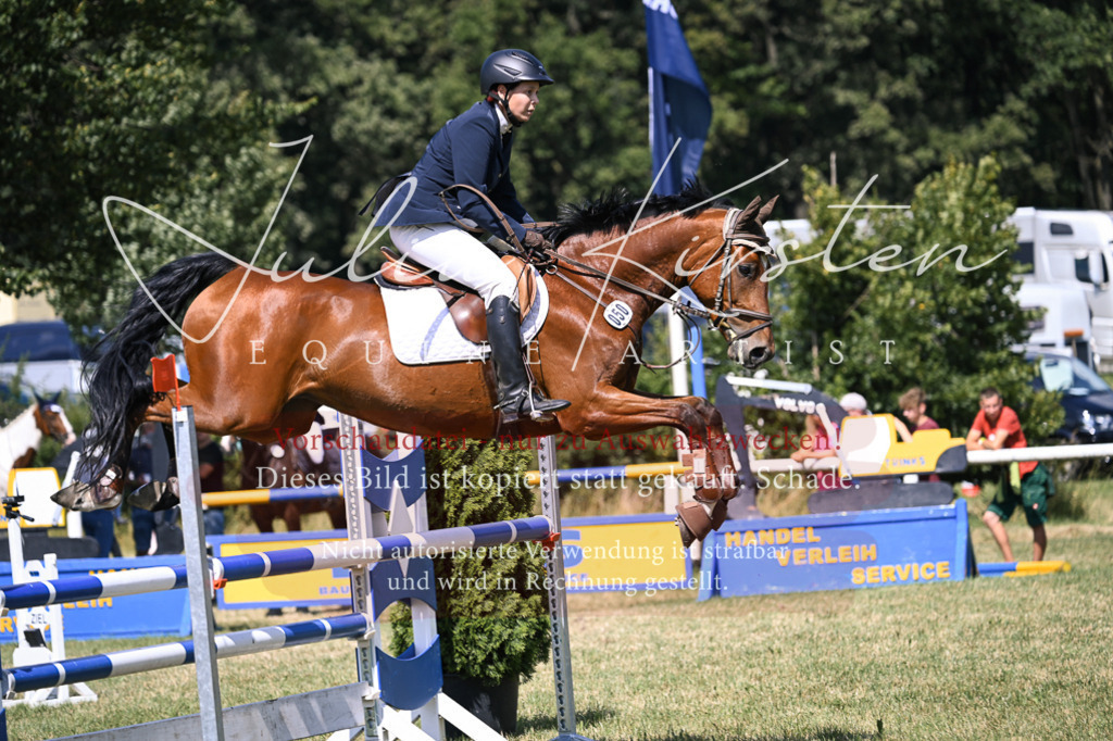 DSC_0434 | Pferde- und Turnierfotografie in Westsachsen. Pferdeportraits, Auftragszeichnungen und intuitive Kunst.