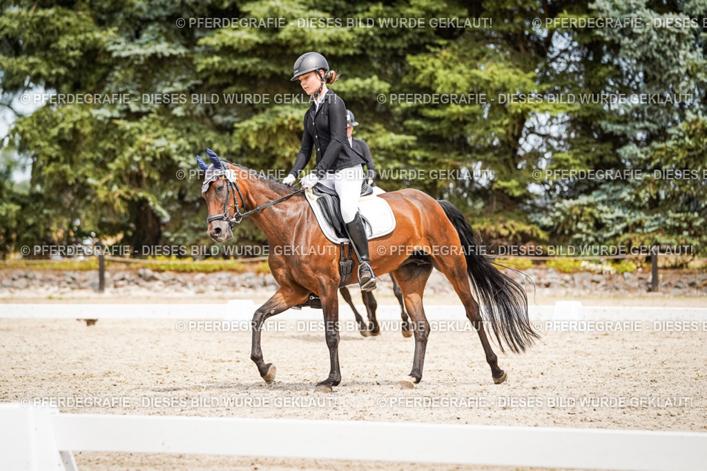 DSC04093 | Pferdegrafie