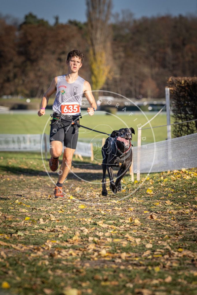 CaniXpix_DV3A0203 | Hundefotografie, Tierfotograf, Pfotenfotografie, Fotoshooting Hund, Hunde Portrait, Hundesport, Hundeportraits, Heideshooting, Hunde, Sportfotograf, Hundefotograf, Turnierhundsport, THS,  - Realisiert mit Pictrs.com