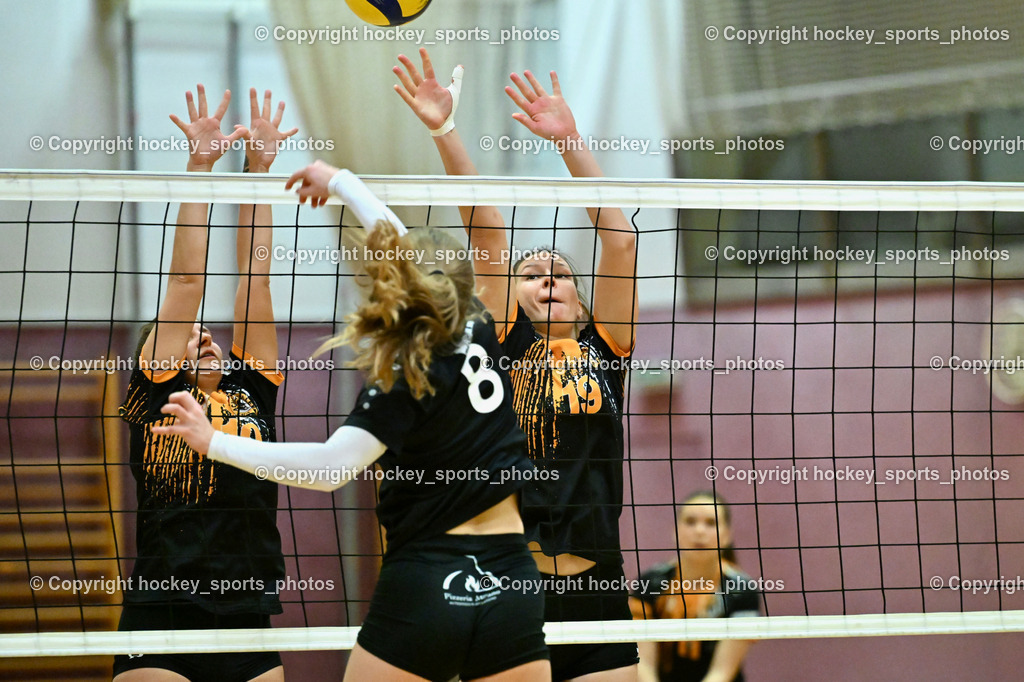 ASKÖ Volley Eagles Villach vs. VC Hausmannstätten | #8 MÖRTH Jasmin VC Hausmannstätten, #10 СЕНІС Еlwira ASKÖ Volley Eagles Villach, #19 RABENSTEINER Stefanie ASKÖ Volley Eagles Villach, ASKÖ Volley Eagles Villach vs. VC Hausmannstätten, ASKÖ Volley Eagles Villach vs. VC Hausmannstätten am 01.02.2025 in Villach (Ballspielhalle Lind), Austria, (Photo by Bernd Stefan)