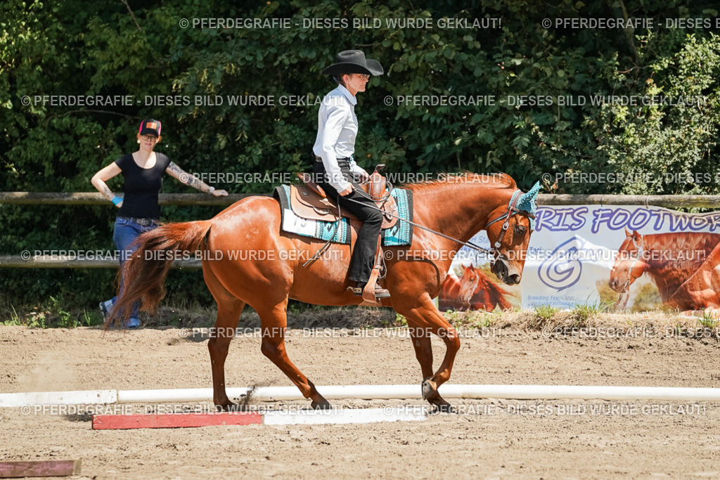 DSC07365 | Pferdegrafie