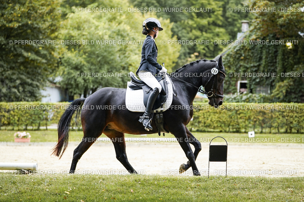 DSC09574 | Pferdegrafie