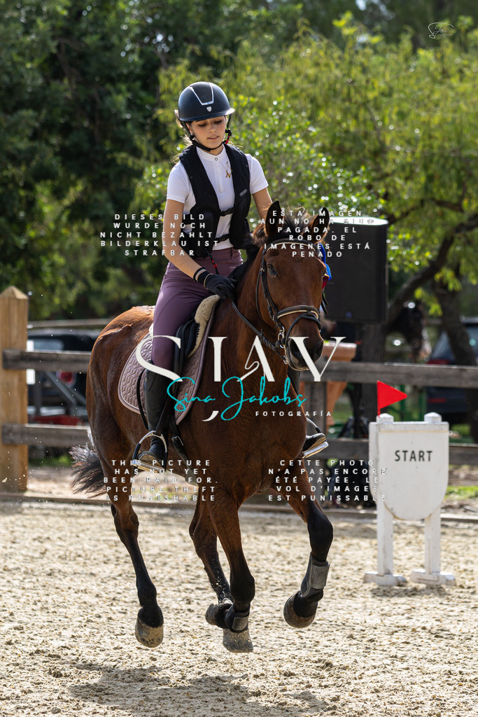 IMG_2793 | s-jay-photography - Realisiert mit Pictrs.com