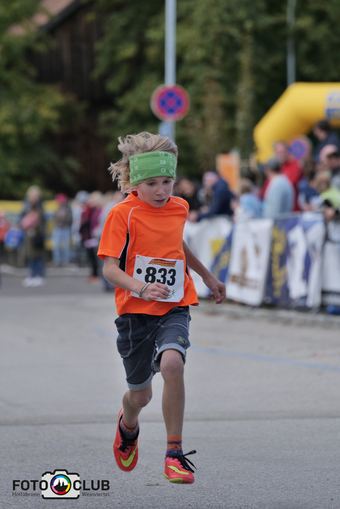 P1039466 | Foto Buchgraber