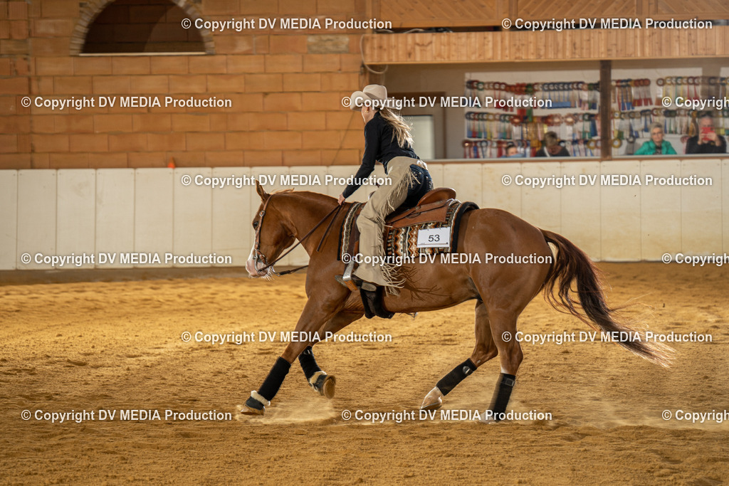 MIT01045 | dv-media-shop - Realisiert mit Pictrs.com