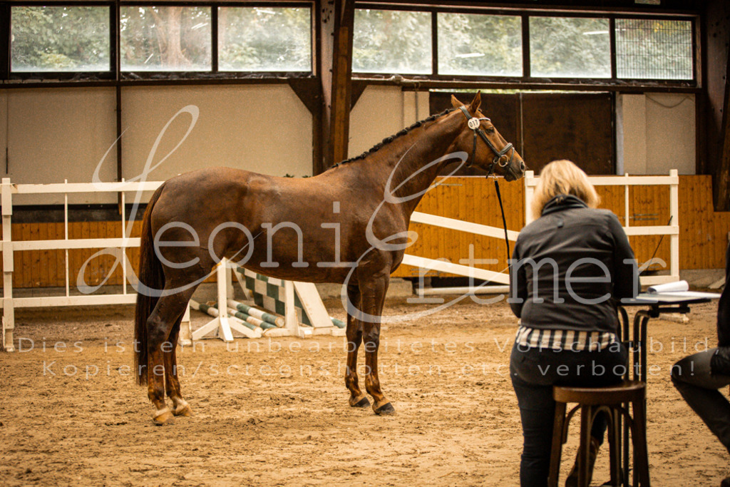 2FS_L00072 | Leoni Ertmer Photography - Realisiert mit Pictrs.com