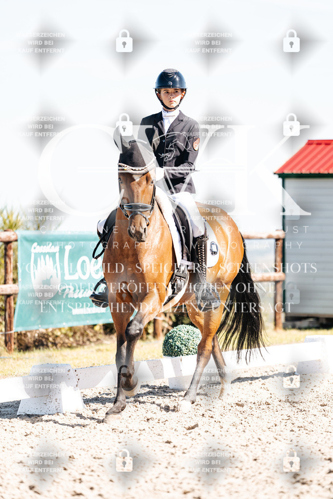 CK909265 | Turnierfotografie Pferdefotografie Trier Rheinland-Pfalz Pferdesport Reitsport Tierfotografie Sportfotografie Pferdevideo Pferdevideografie Equestrianvideography equestrianphotography  - Realisiert mit Pictrs.com