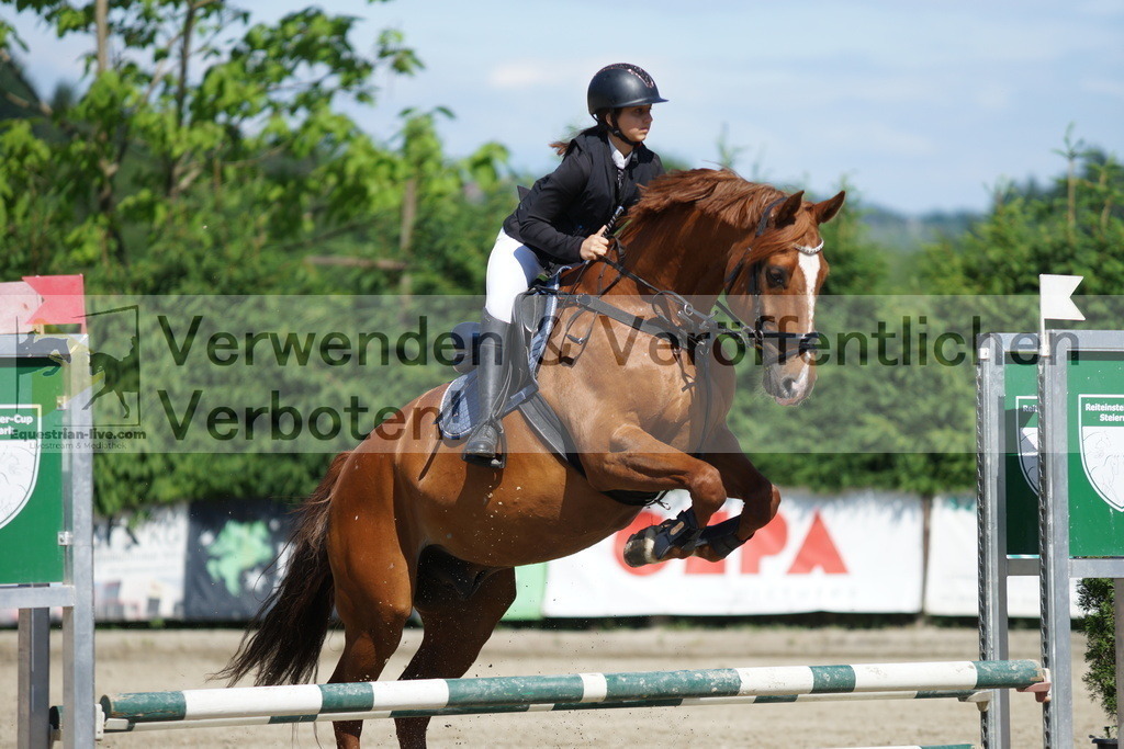 DSC06182 | equestrian-live-com