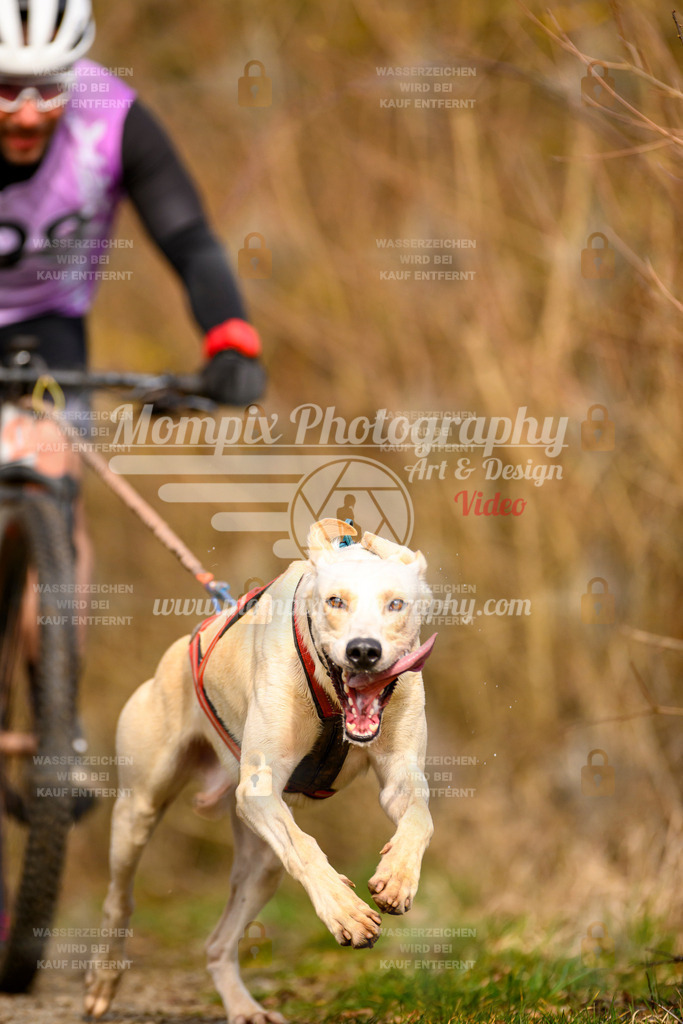 MompixPhotography_Schwabentrail2024_Bike-21 | PayLife