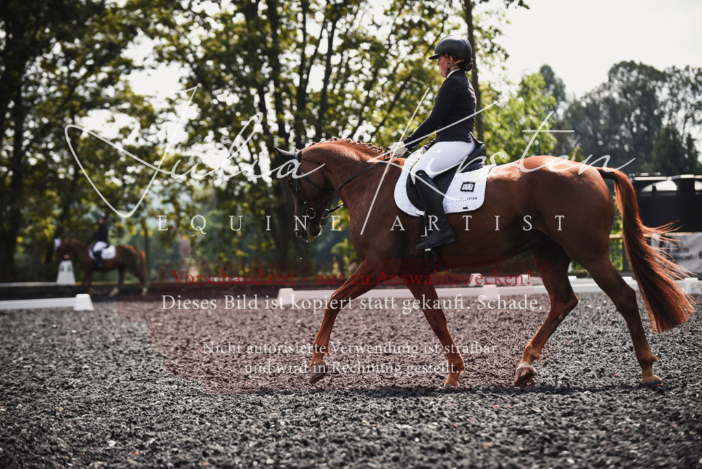 DSC_4190 | Pferde- und Turnierfotografie in Westsachsen. Pferdeportraits, Auftragszeichnungen und intuitive Kunst.