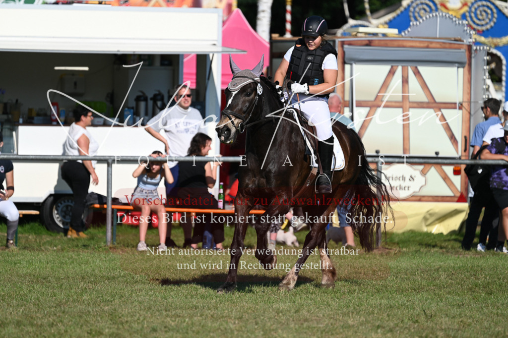 DSC_5188 | Pferde- und Turnierfotografie in Westsachsen. Pferdeportraits, Auftragszeichnungen und intuitive Kunst.