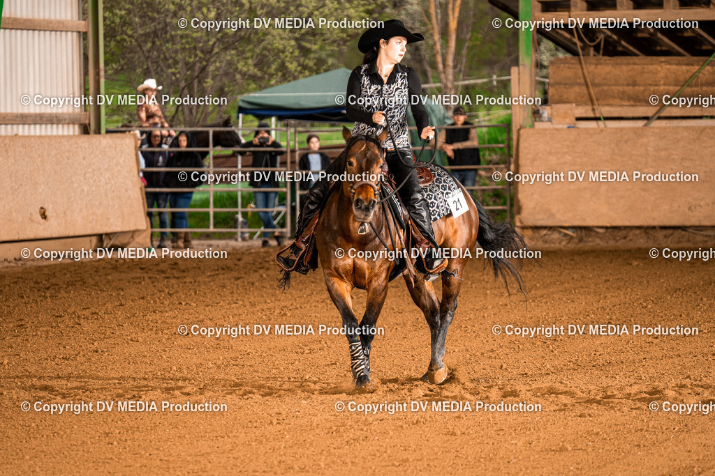 BAL01060 | dv-media-shop - Realisiert mit Pictrs.com