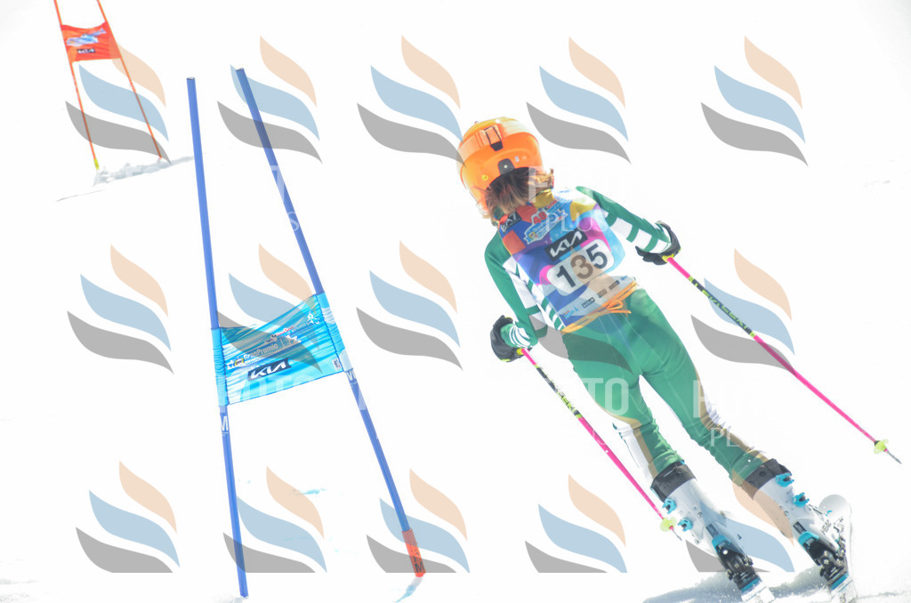 _ELE6171 | holidayphoto