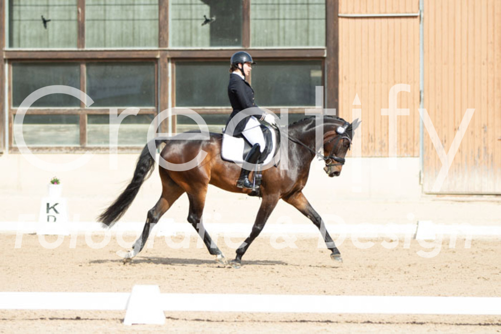 IMG_3721 | Creatify Fotografie