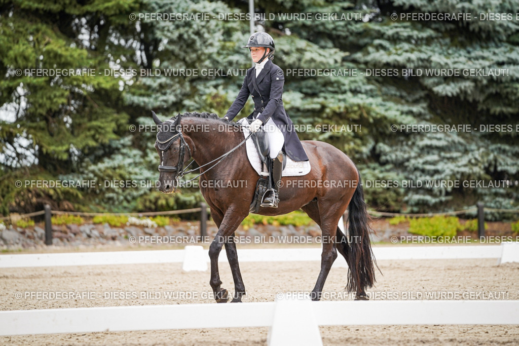 DSC07073 | Pferdegrafie