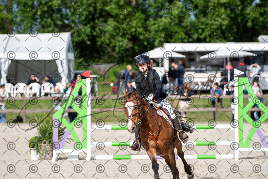 KPT_6667 | andre_photographic