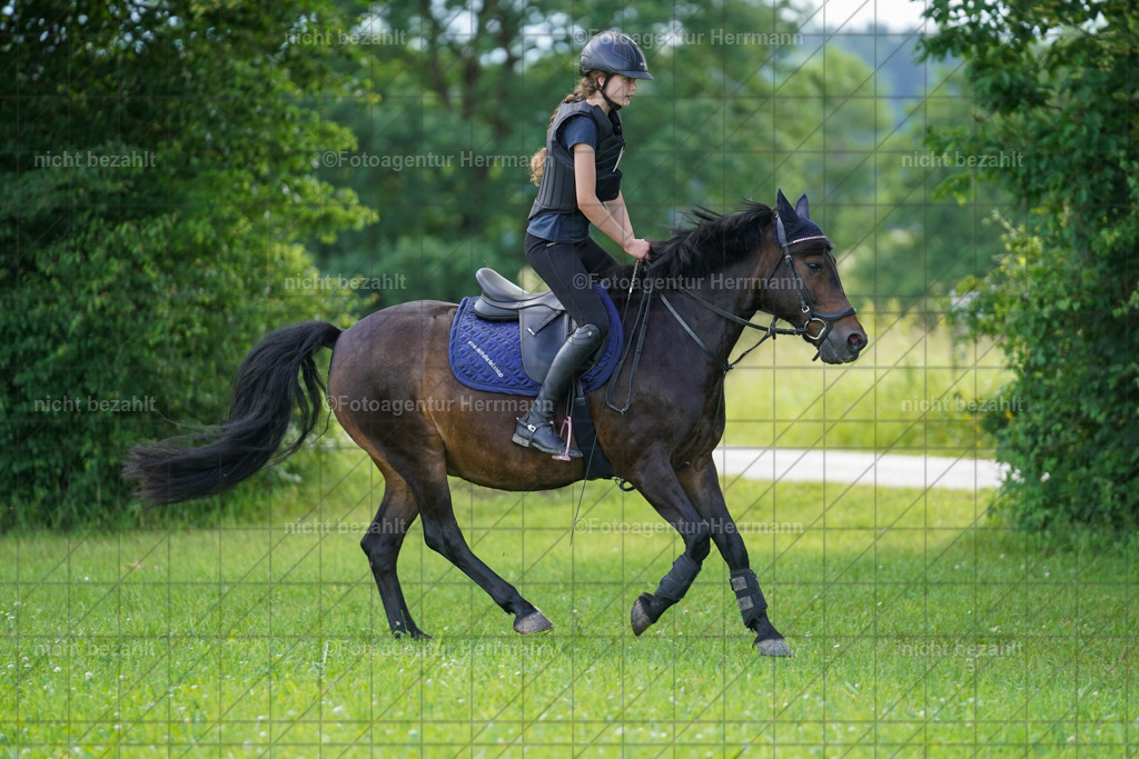 20240622-FAH07906 | Turnierfotografen Bayern, Reitsportbilder aus dem Geländekurs mit Felix Etzel auf dem Gut Waitzacker 2024