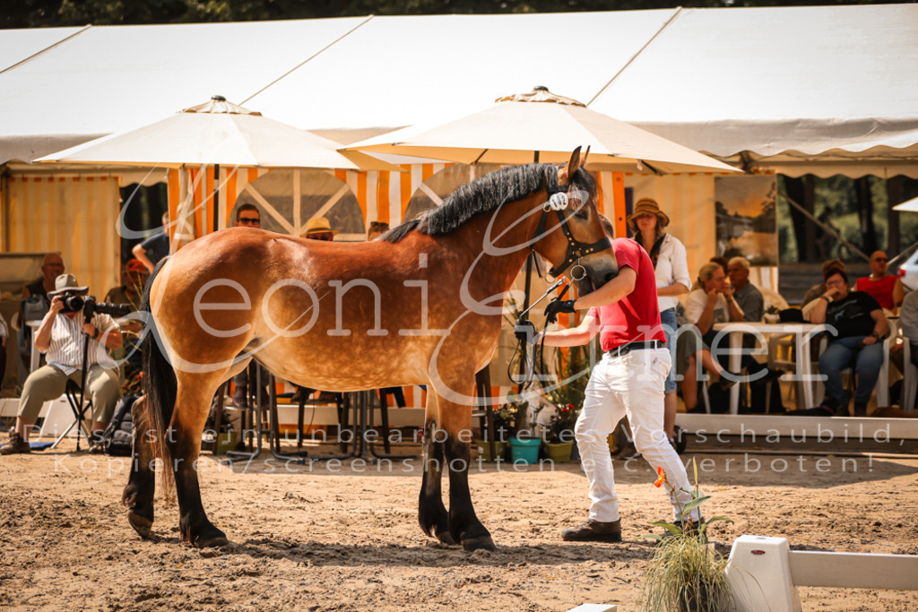 2.Sa00007 | Leoni Ertmer Photography - Realisiert mit Pictrs.com