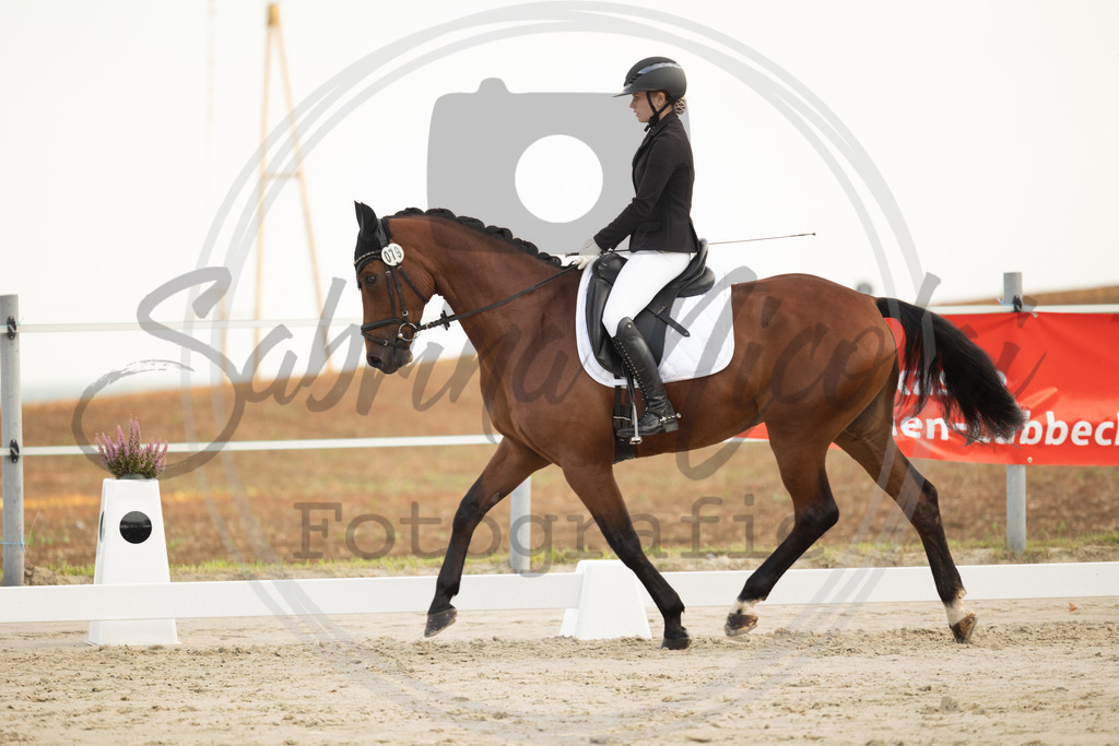 994A9968 | sabrinanicolaifotografie - Realisiert mit Pictrs.com