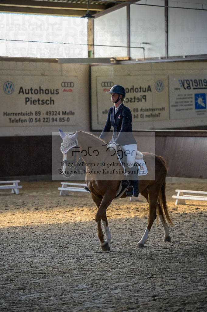 Reitturnier Voxtrup | Entdecke hochwertige Reitturnierfotos von Foto Oger. Professionell, emotional und authentisch – jetzt Lieblingsmomente im Shop bestellen.Deutschlandweite Turnierfotografie. - Realisiert mit Pictrs.com