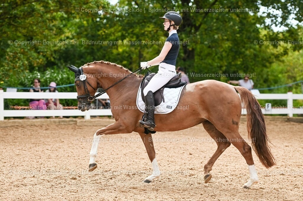 20230715_07_Dressurpferdeprfg. Kl.L_0089 | equistock