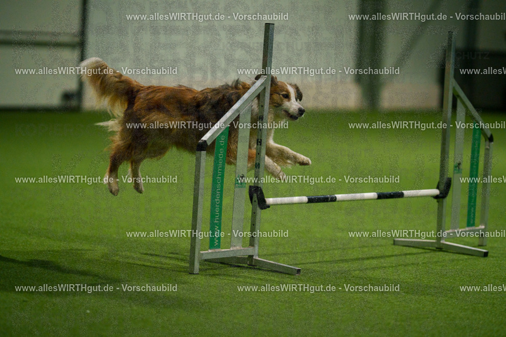 7R504396 | Professionelle Tierfotografie in Mönchengladbach von Daniel Wirth (allesWIRTHgut). Liebevolle & natürliche Bilder von Hunden & Katzen für unvergessliche Erinnerungen.