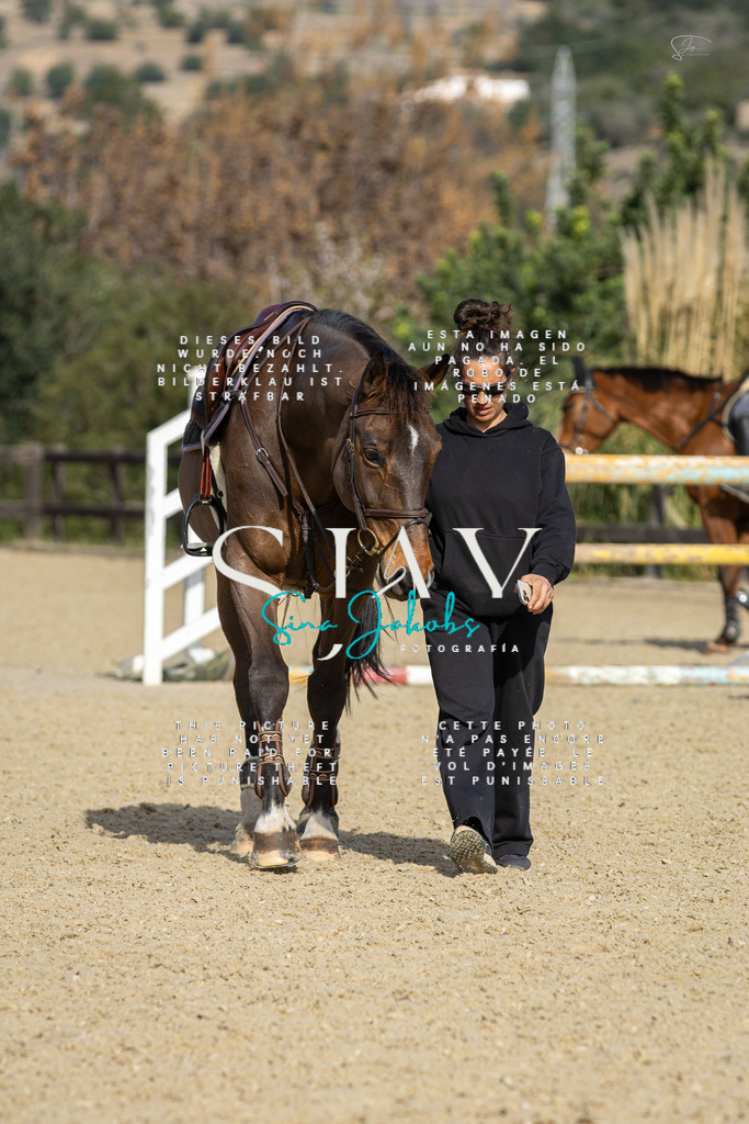 IMG_6859 | s-jay-photography - Realisiert mit Pictrs.com