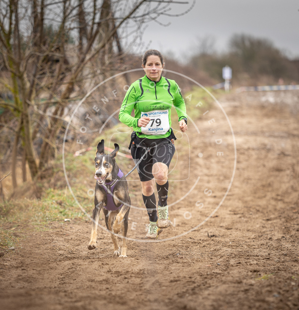 DV3A9841 | Hundefotografie, Tierfotograf, Pfotenfotografie, Fotoshooting Hund, Hunde Portrait, Hundesport, Hundeportraits, Heideshooting, Hunde, Sportfotograf, Hundefotograf, Turnierhundsport, THS,  - Realisiert mit Pictrs.com