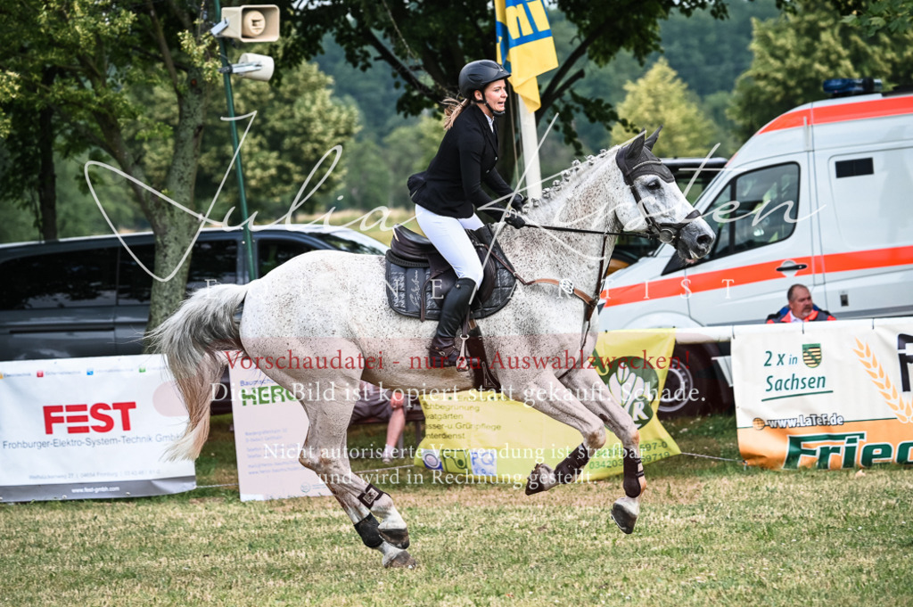DSC_8352 | Pferde- und Turnierfotografie in Westsachsen. Pferdeportraits, Auftragszeichnungen und intuitive Kunst.