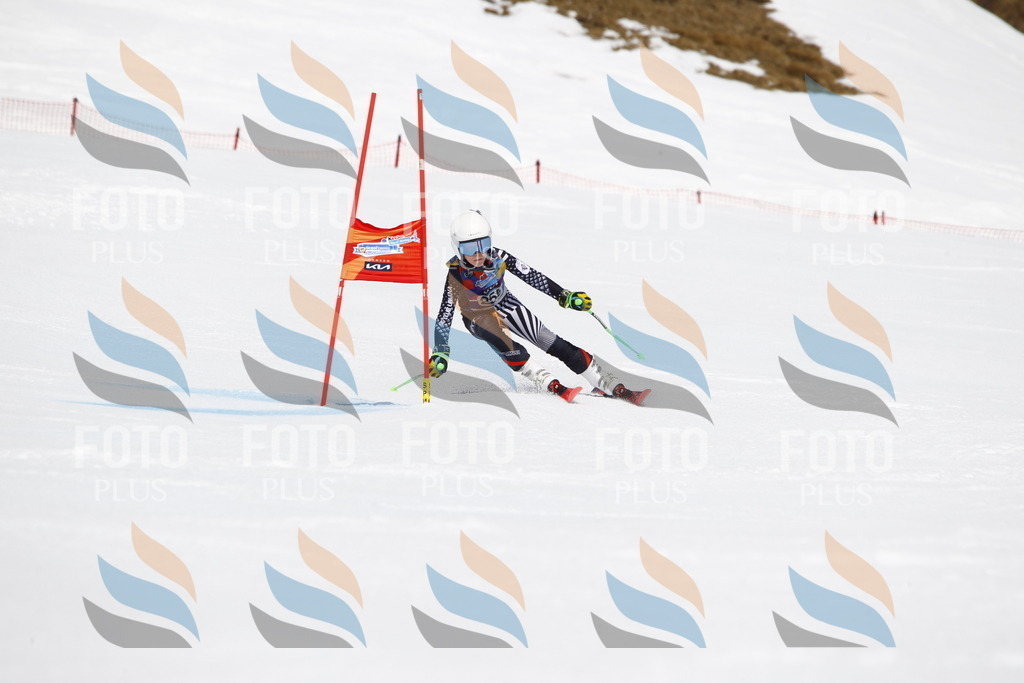 _U3G6401 | holidayphoto